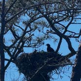 Review photo of Gulf State Park Campground by Tiffany M., March 22, 2026