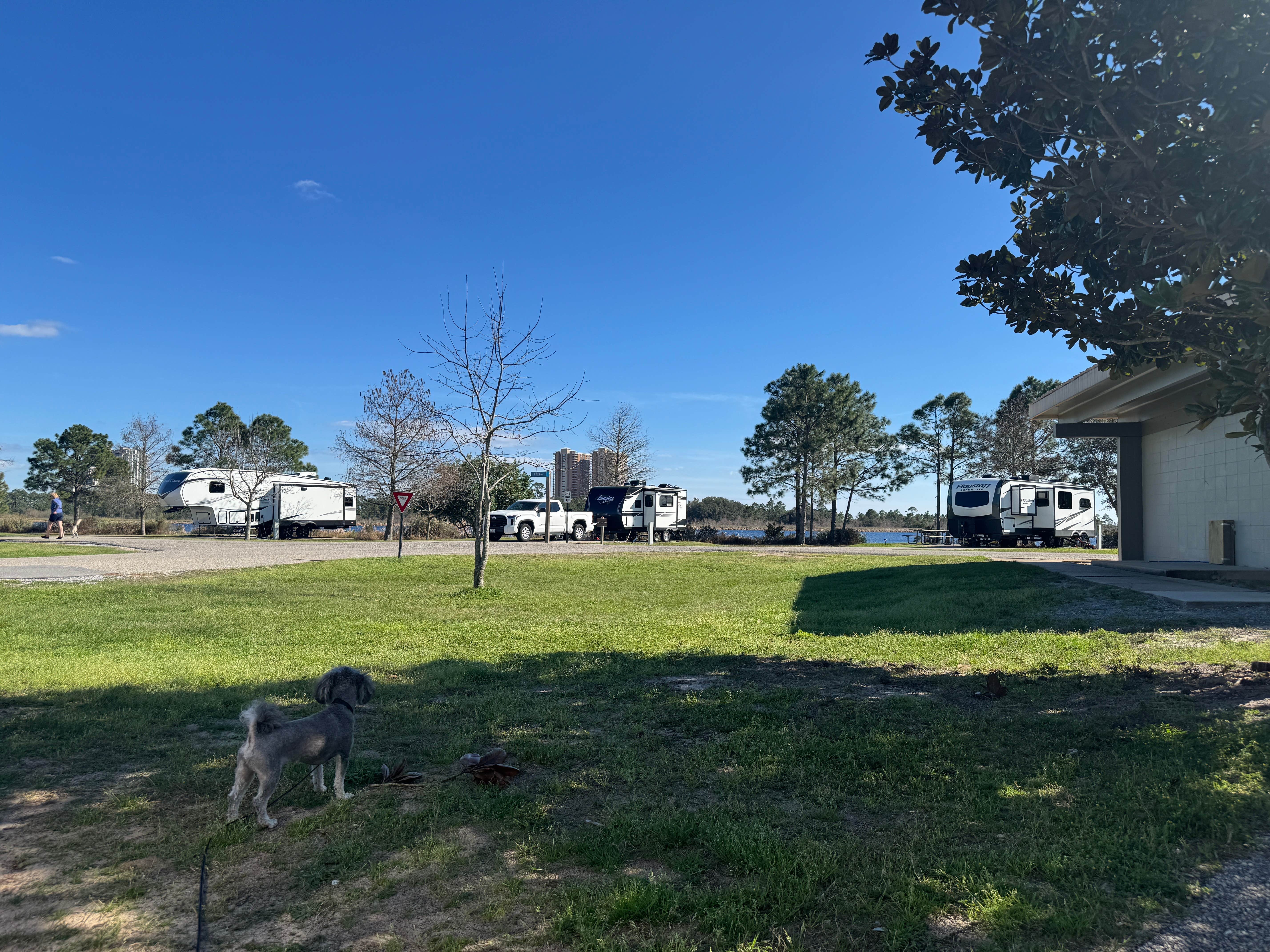 Jon K.'s photo of camping with pets at Gulf State Park Campground near Orange Beach, AL