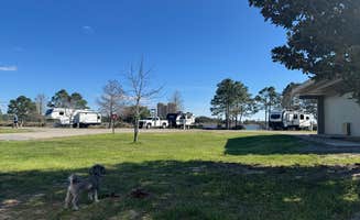 Jon K.'s photo of camping with pets at Gulf State Park Campground near Spanish Fort, AL