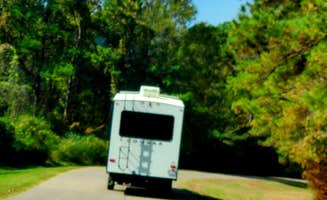 Susan C.'s photo of rv camping at Gunter Hill near Alabama River Lakes