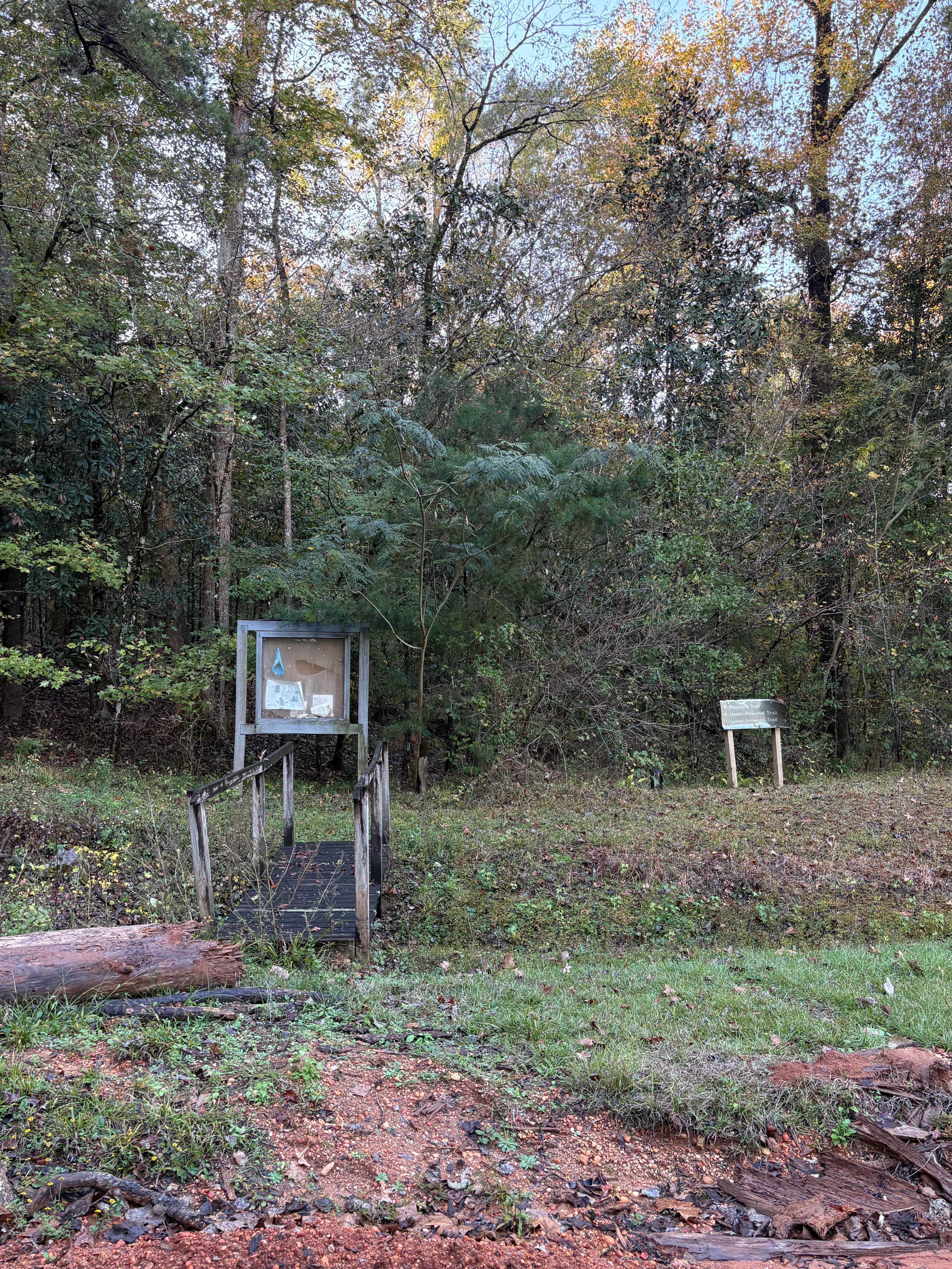 Camper-submitted photo at Haines Island near Camden, AL