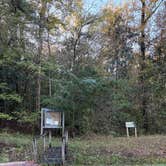 Review photo of Haines Island by Hannah C., November 10, 2025