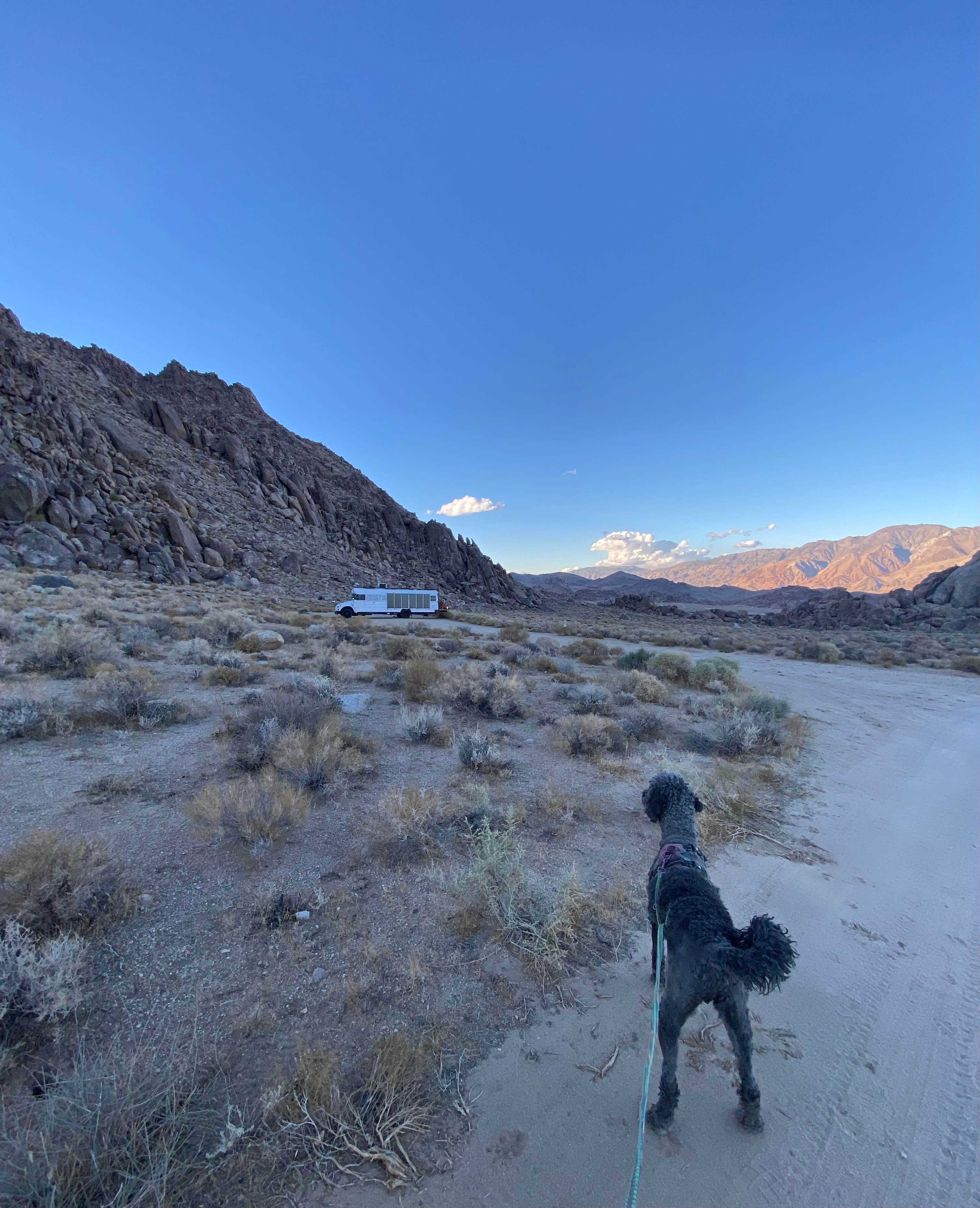 Camper-submitted photo at Alabama Hills Dispersed Camping #2 near Lone Pine, CA