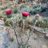 Review photo of Alabama Hills Dispersed Campsite by Lauren M., April 22, 2024