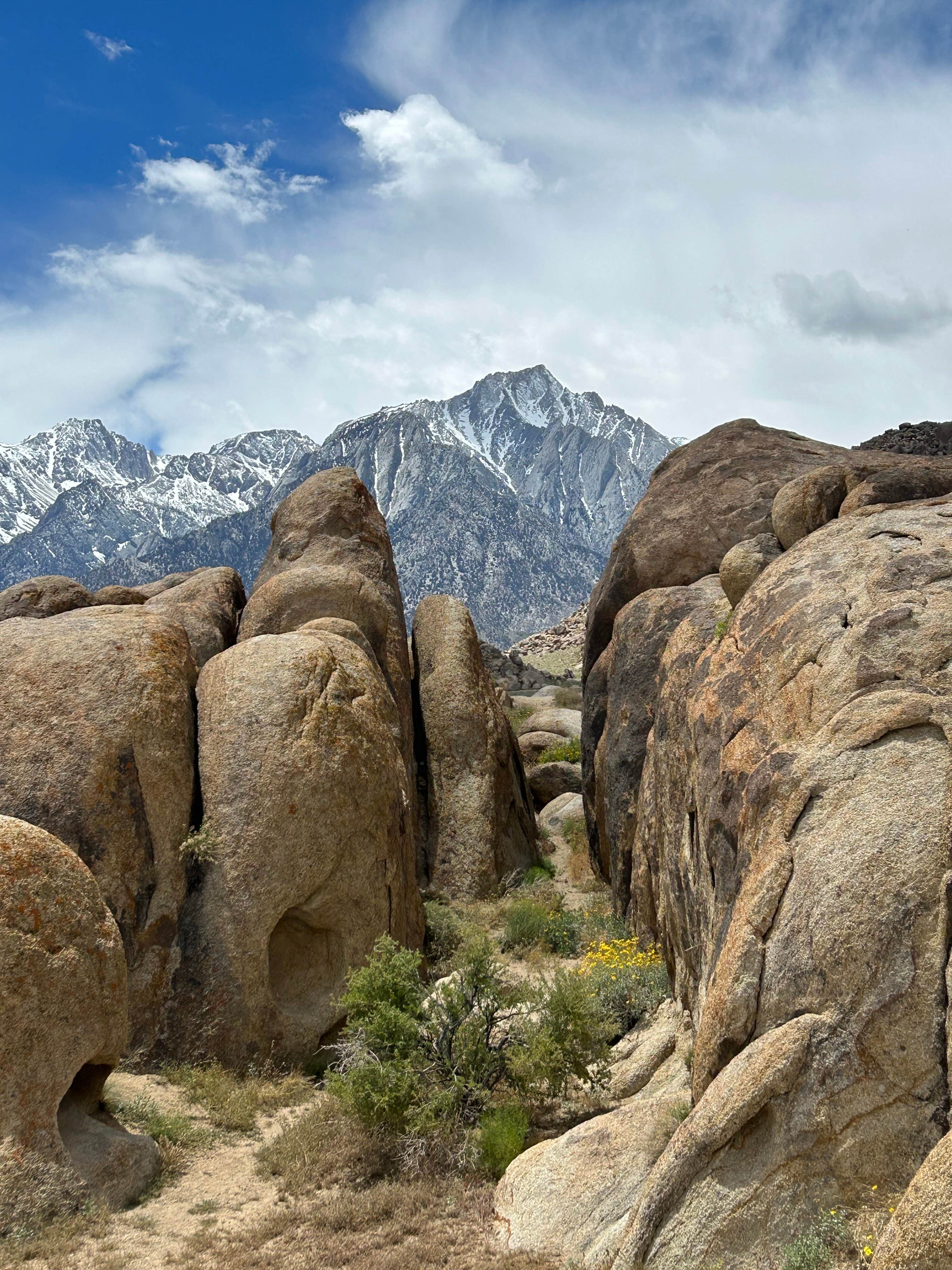 Camper submitted image from Alabama Hills on Movie Flat Road - 1