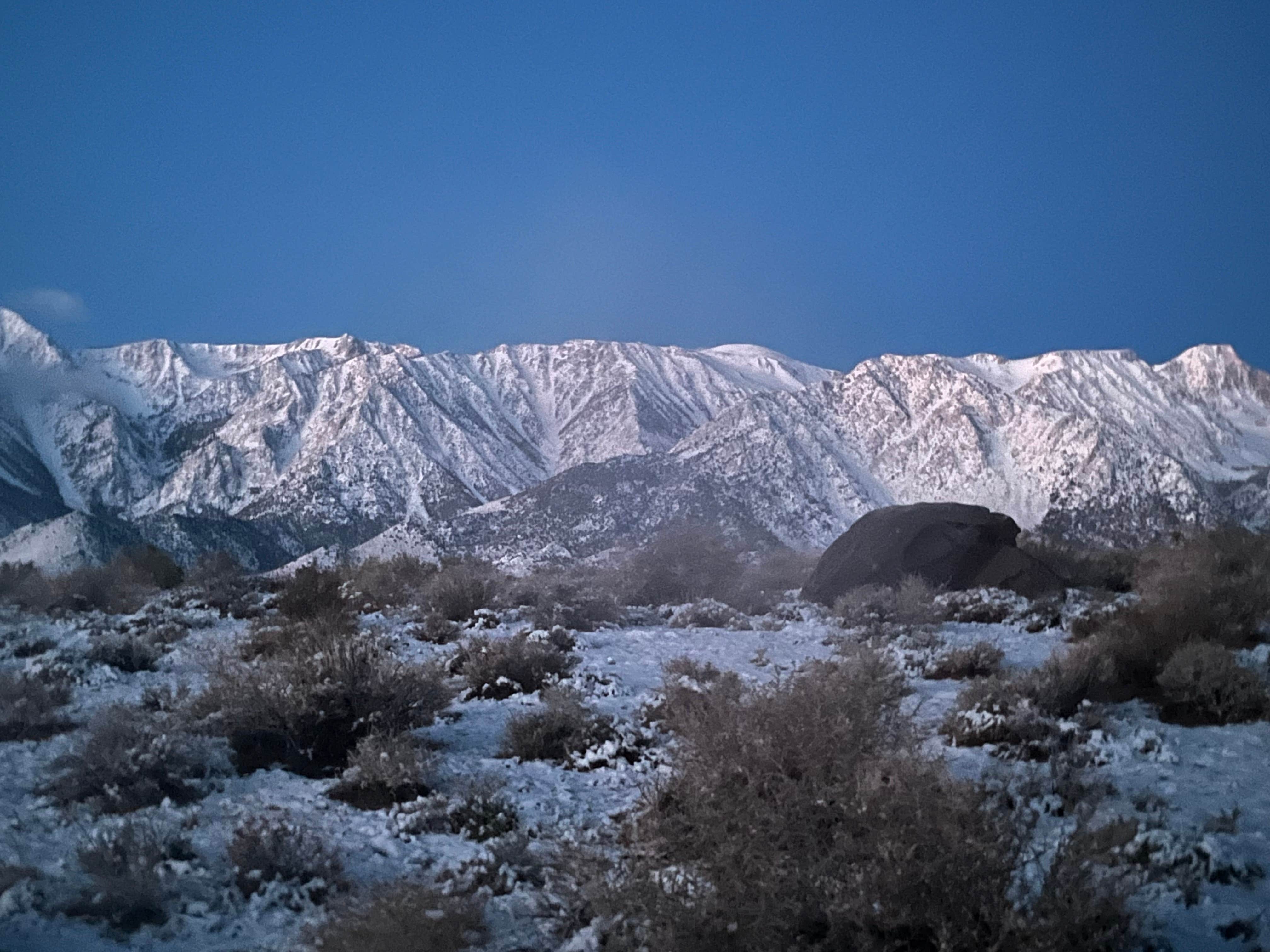 Camper submitted image from Alabama Hills Dispersed Site - 2