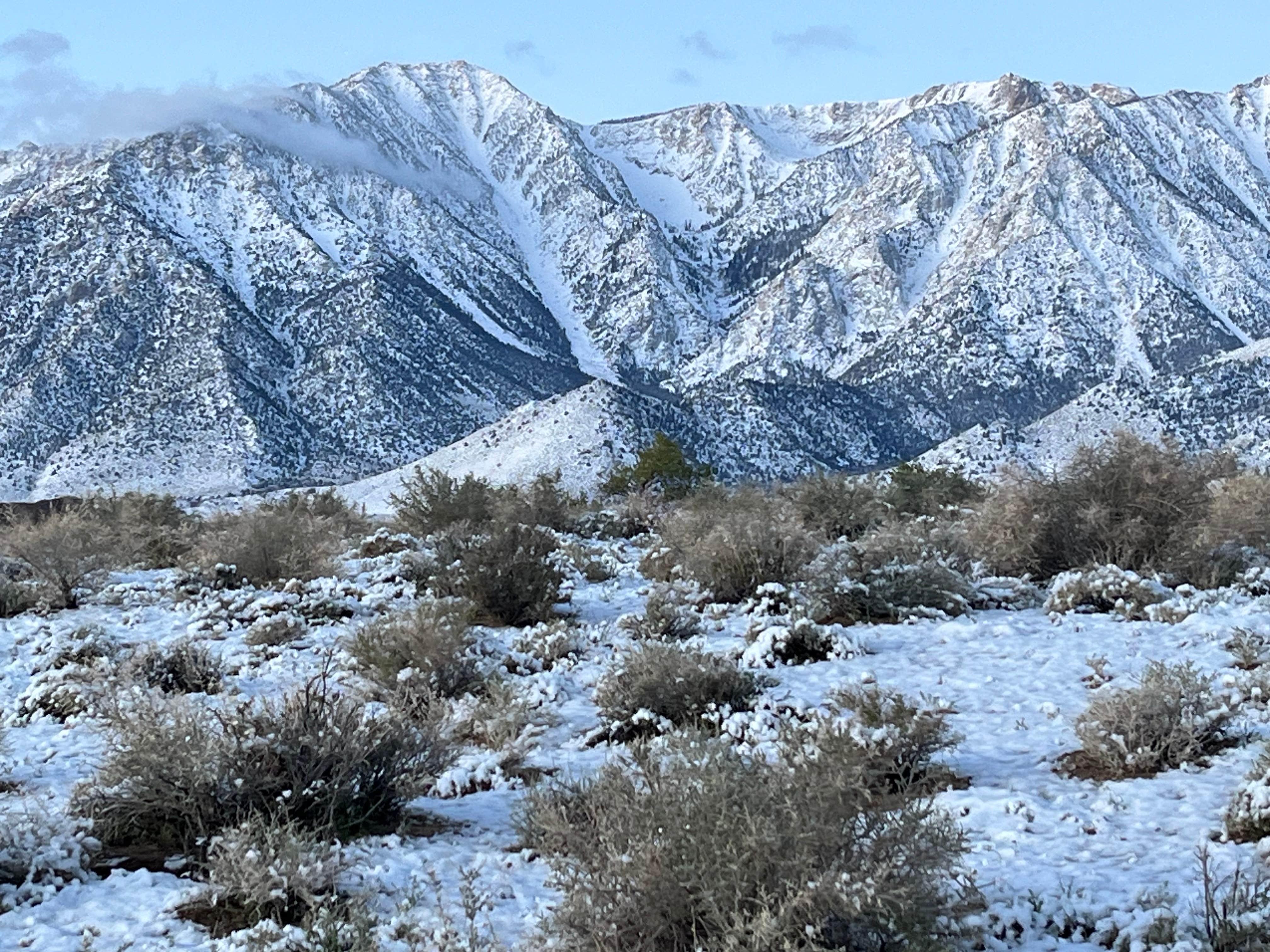 Camper-submitted photo at Alabama Hills Dispersed Site near Alabama Hills, CA