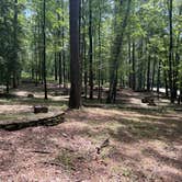 Review photo of Houston Recreation Area by Hannah C., July 21, 2026