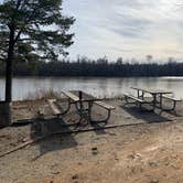 Review photo of Lenoir Landing by Phillip P., January 15, 2024