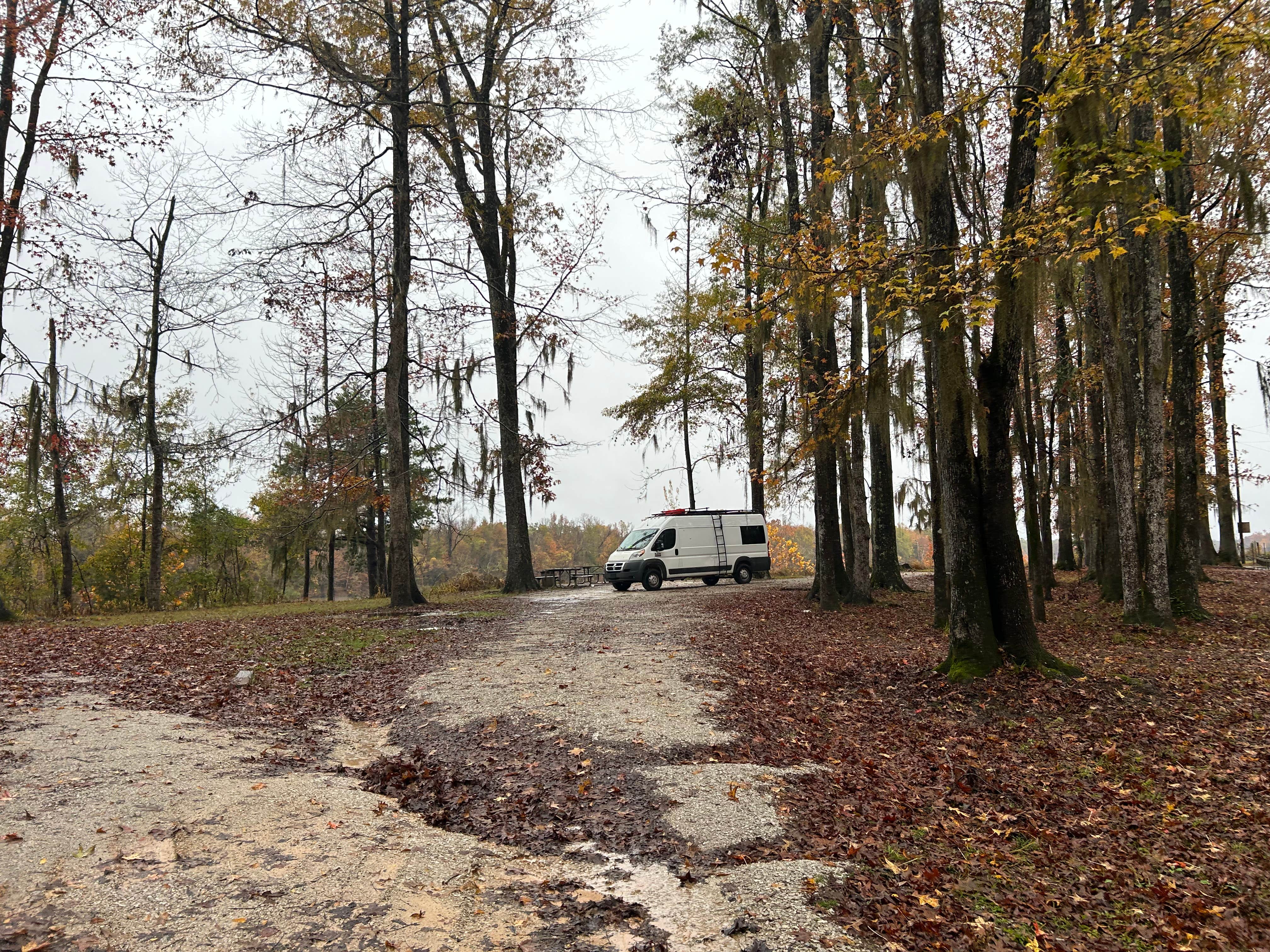 Camper-submitted photo at Lenoir Landing near Silas, AL