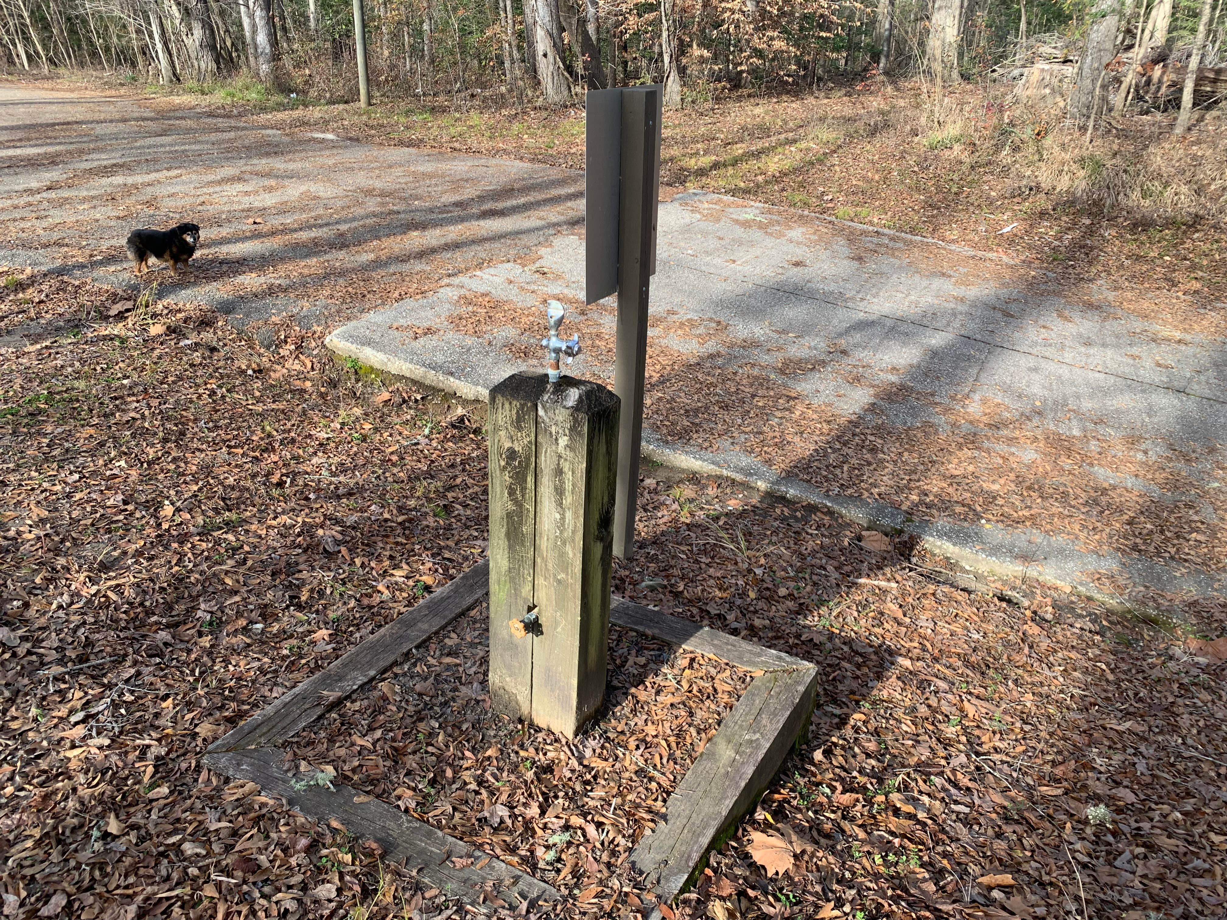 Phillip P.'s photo of camping with pets at Lenoir Landing near Black Warrior and Tombigbee Lakes