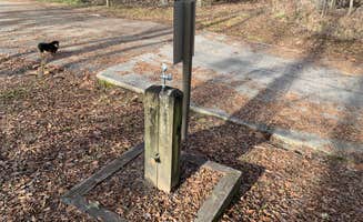 Phillip P.'s photo of camping with pets at Lenoir Landing near Black Warrior and Tombigbee Lakes