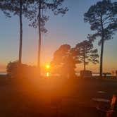 Review photo of Meaher State Park Campground by C G., November 4, 2025