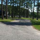 Review photo of Meaher State Park Campground by Daniel H., May 31, 2024