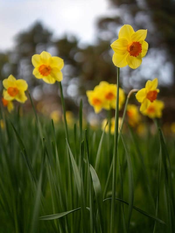 Camping near Bates Creek RV Park: Mobile County River Delta Marina and Campground, Stockton, Alabama