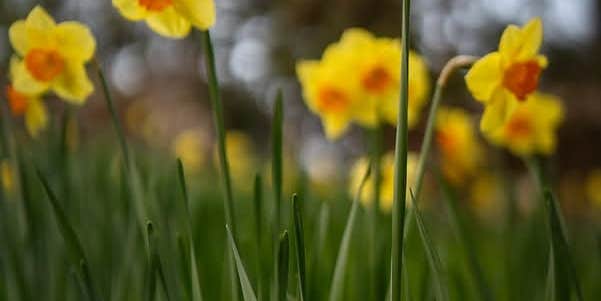 Camper submitted image from Mobile County River Delta Marina and Campground