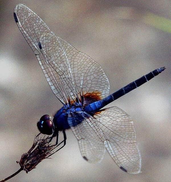Camper-submitted photo at Mobile County River Delta Marina and Campground near Spanish Fort, AL