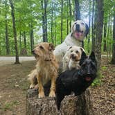 Review photo of Monte Sano State Park Campground by Katrin M., April 23, 2026