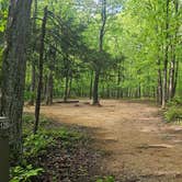 Review photo of Monte Sano State Park Campground by Katrin M., April 23, 2026