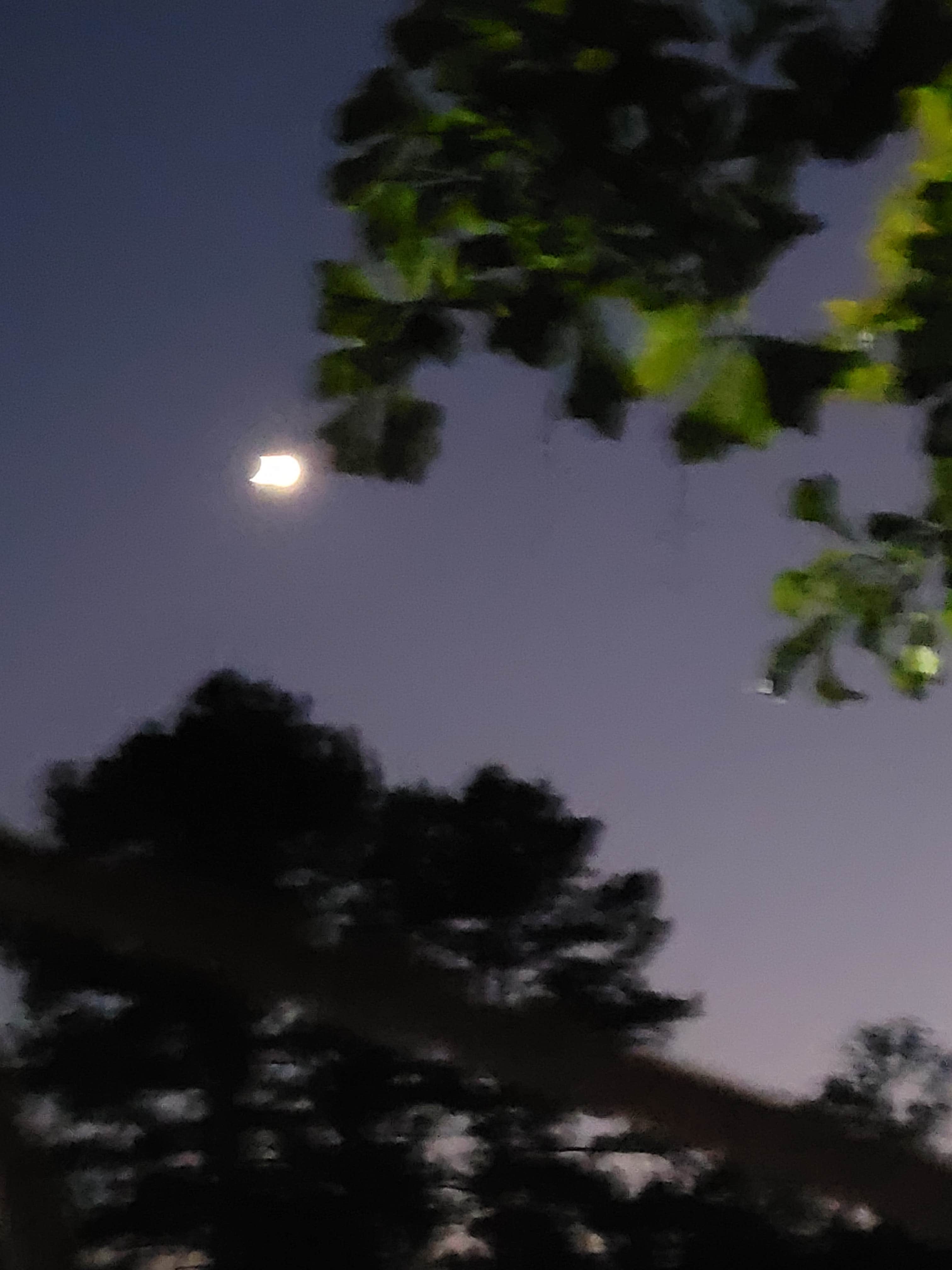 Camper-submitted photo at Omussee Creek Park near Sneads, FL