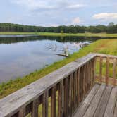 Review photo of Open Pond Recreation Area by Walter E., August 27, 2026