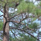 Review photo of Open Pond Recreation Area by Walter E., August 27, 2026