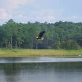 Review photo of Open Pond Recreation Area by Walter E., August 27, 2026