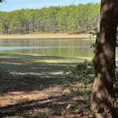 Review photo of Open Pond Recreation Area by Jim A., November 23, 2023