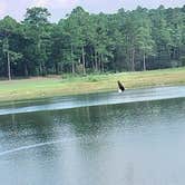 Review photo of Open Pond Recreation Area by Walter E., August 27, 2026