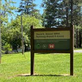 Review photo of Runaway Branch by Hannah C., November 10, 2025