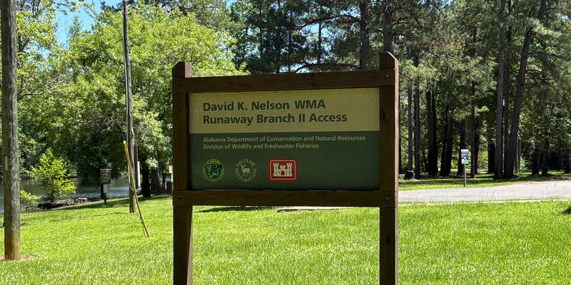 Camper submitted image from Runaway Branch