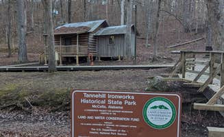 Kristi D.'s photo of camping with pets at Tannehill Ironworks Historical State Park Campground near Vestavia Hills, AL
