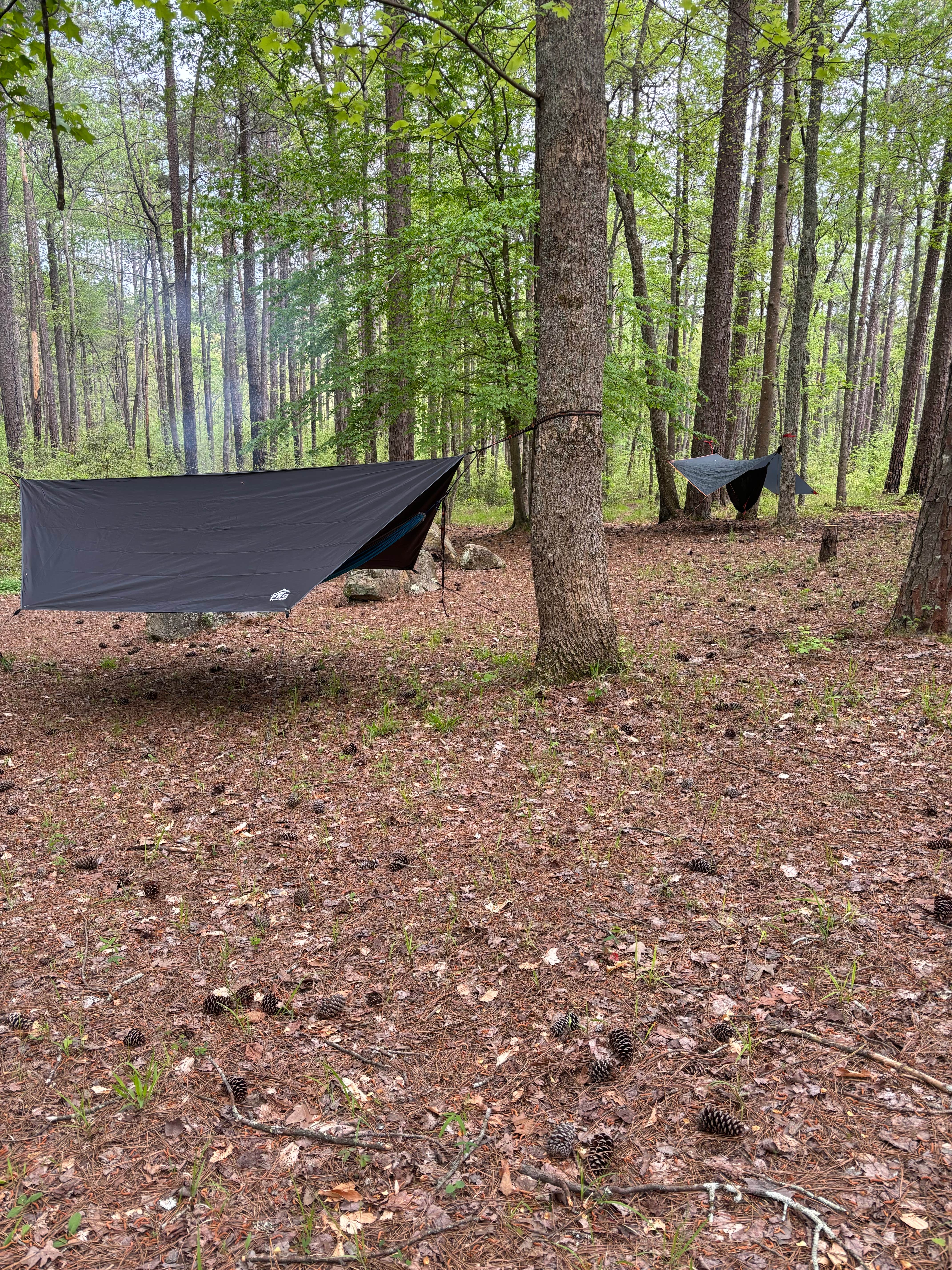 donald L.'s photo at Turnipseed Campground near Hollins, AL