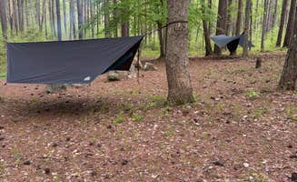 donald L.'s photo of tent camping at Turnipseed Campground near Heflin, AL