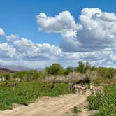 Review photo of Alamo Lake Dispersed Campsite by @57overlander C., April 26, 2025