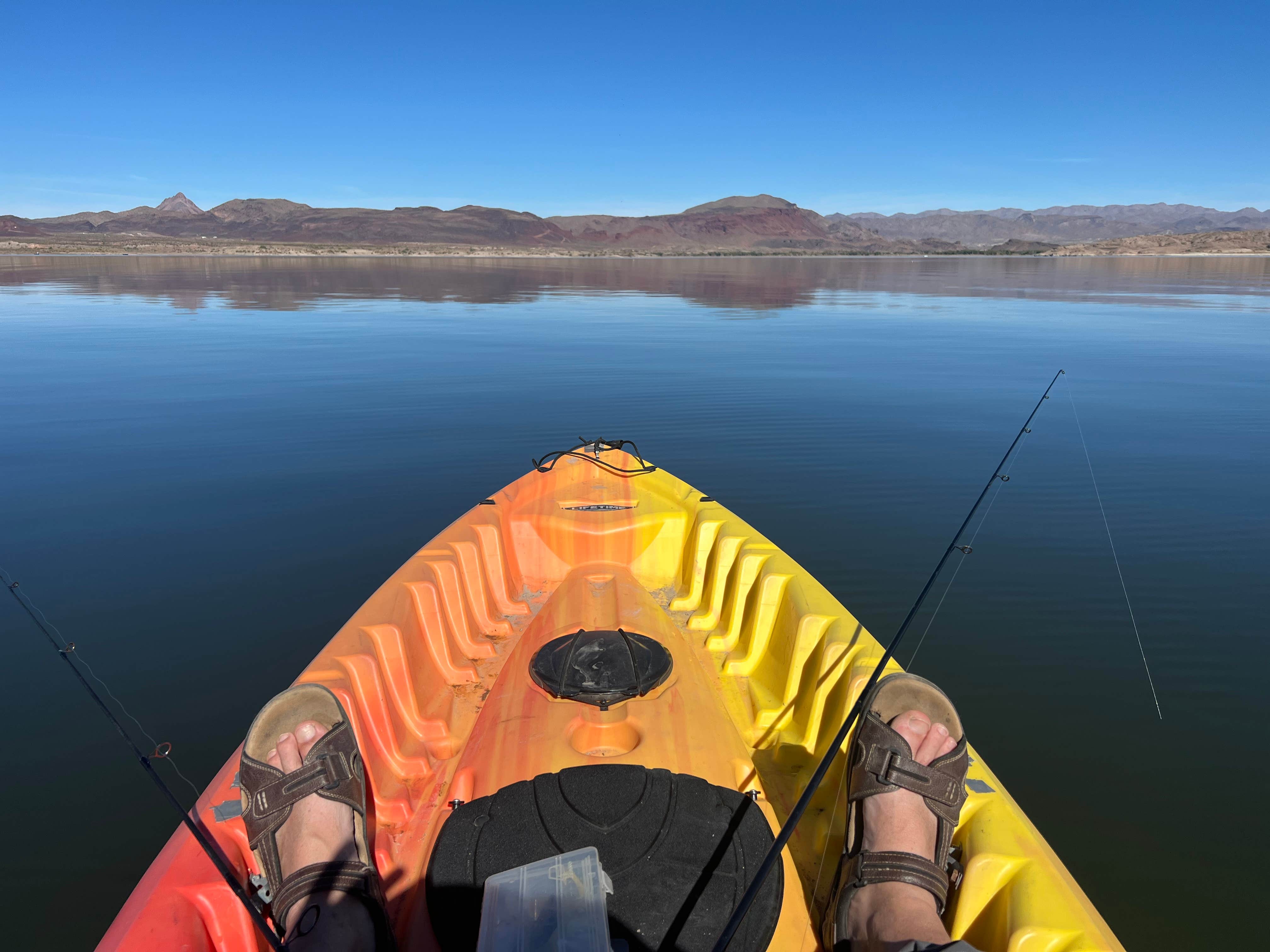 Camper submitted image from Alamo Lake Dispersed Campsite - 3