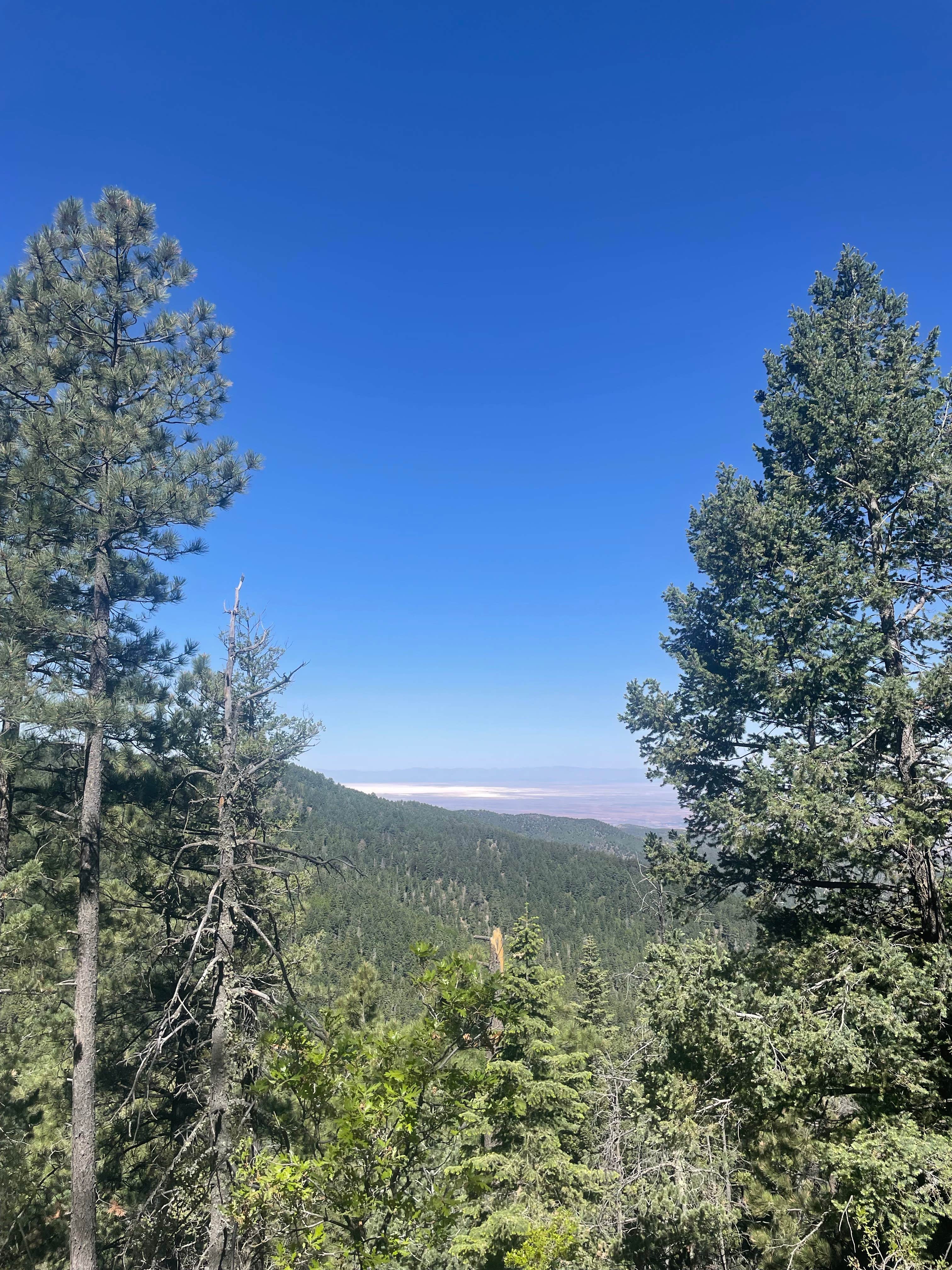 Brian and Janet S.'s photo of a dispersed camping area at Alamo Peak Rd near White Sands National Park