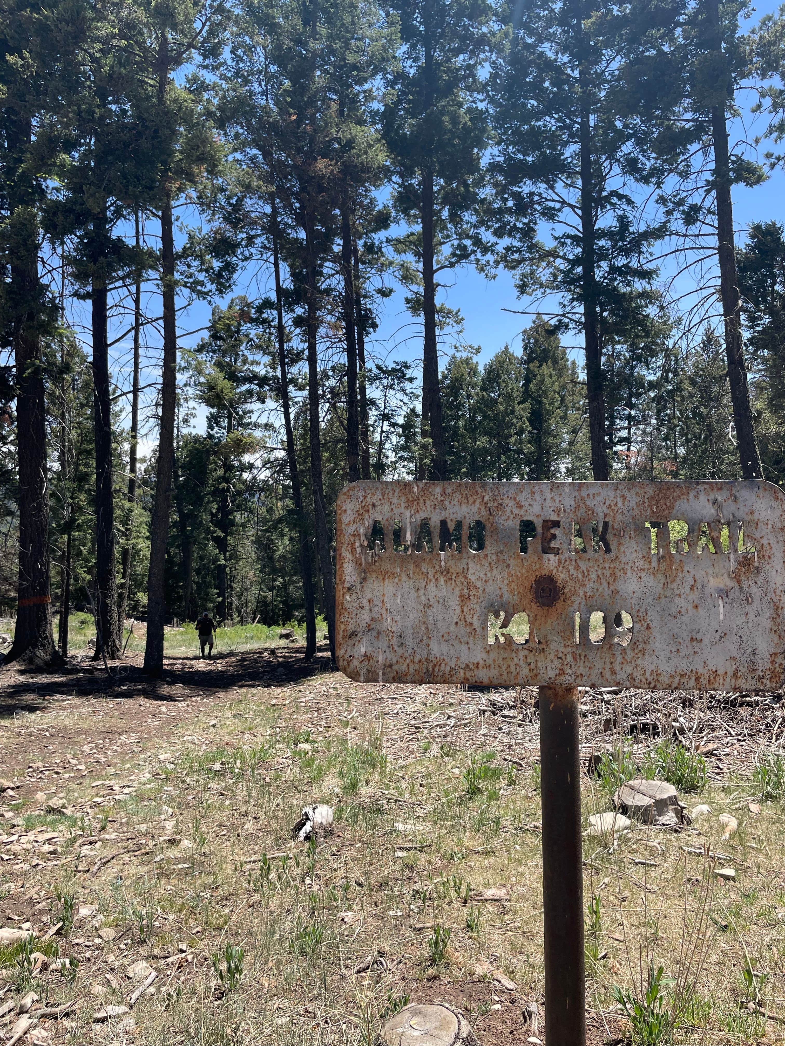 Camper-submitted photo at Alamo Peak Rd near Bent, NM