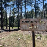 Review photo of Alamo Peak Rd by Brian and Janet S., May 26, 2024