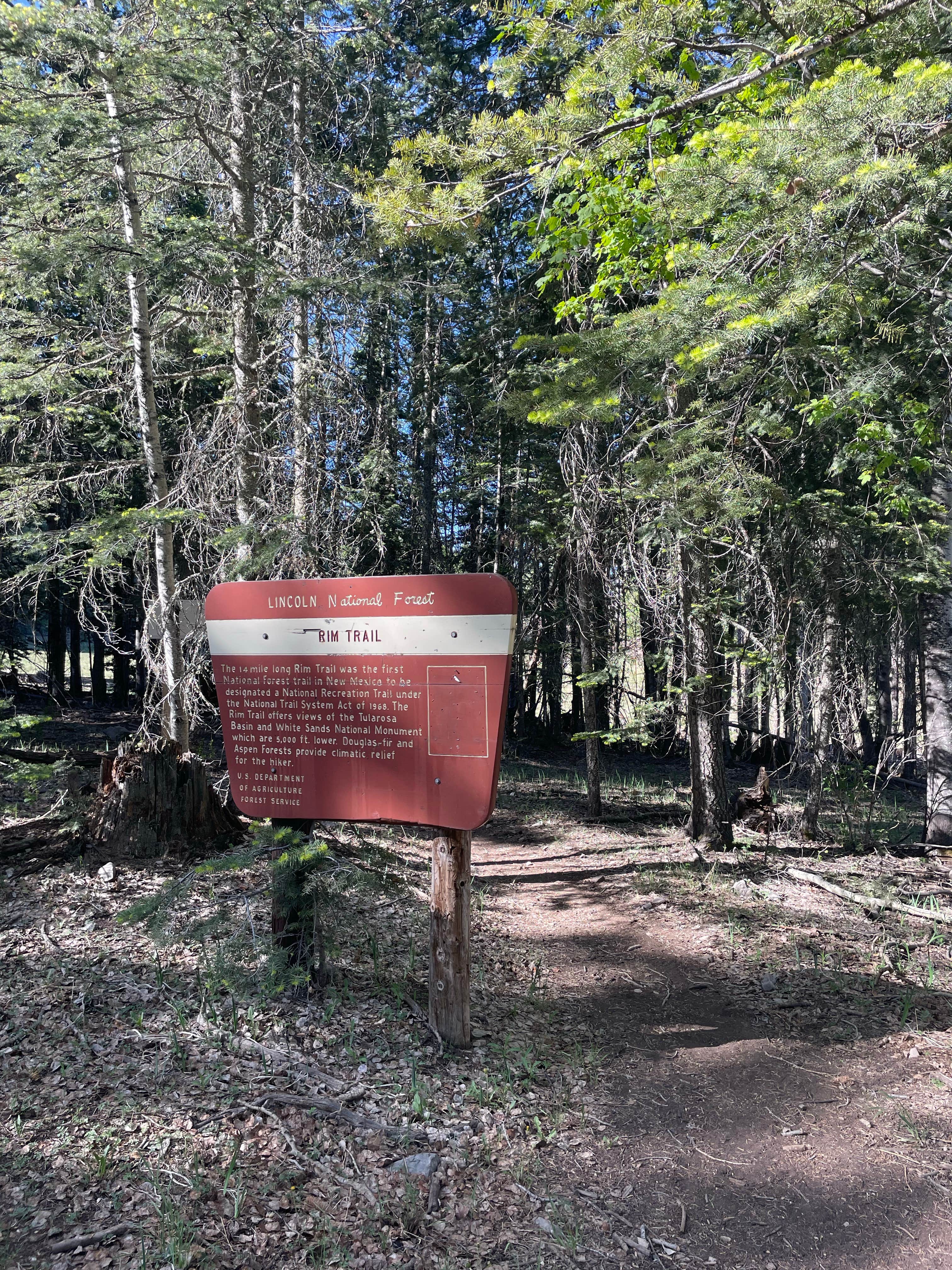 Camper-submitted photo at Alamo Peak Rd near Bent, NM