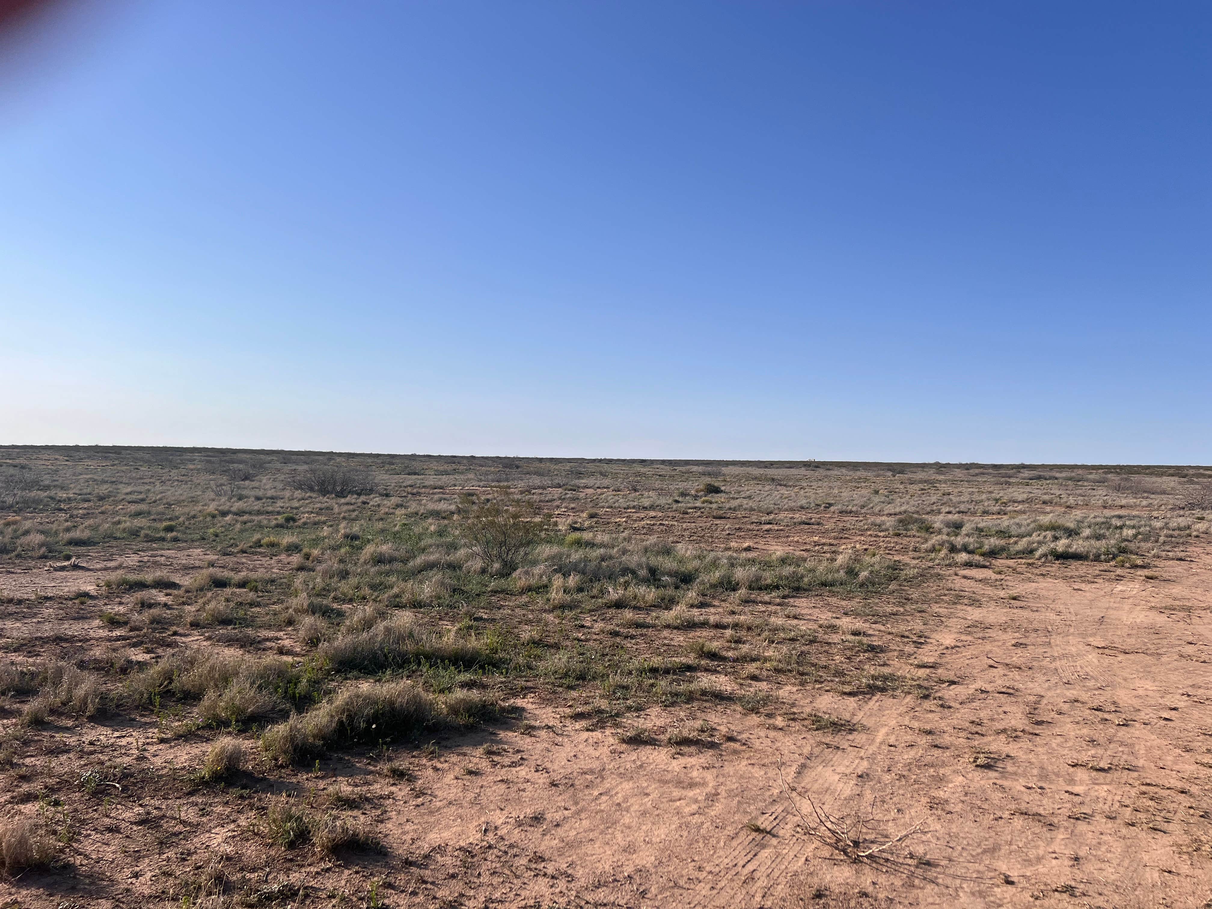 Camper-submitted photo at Alamo Road Camp near Artesia, NM
