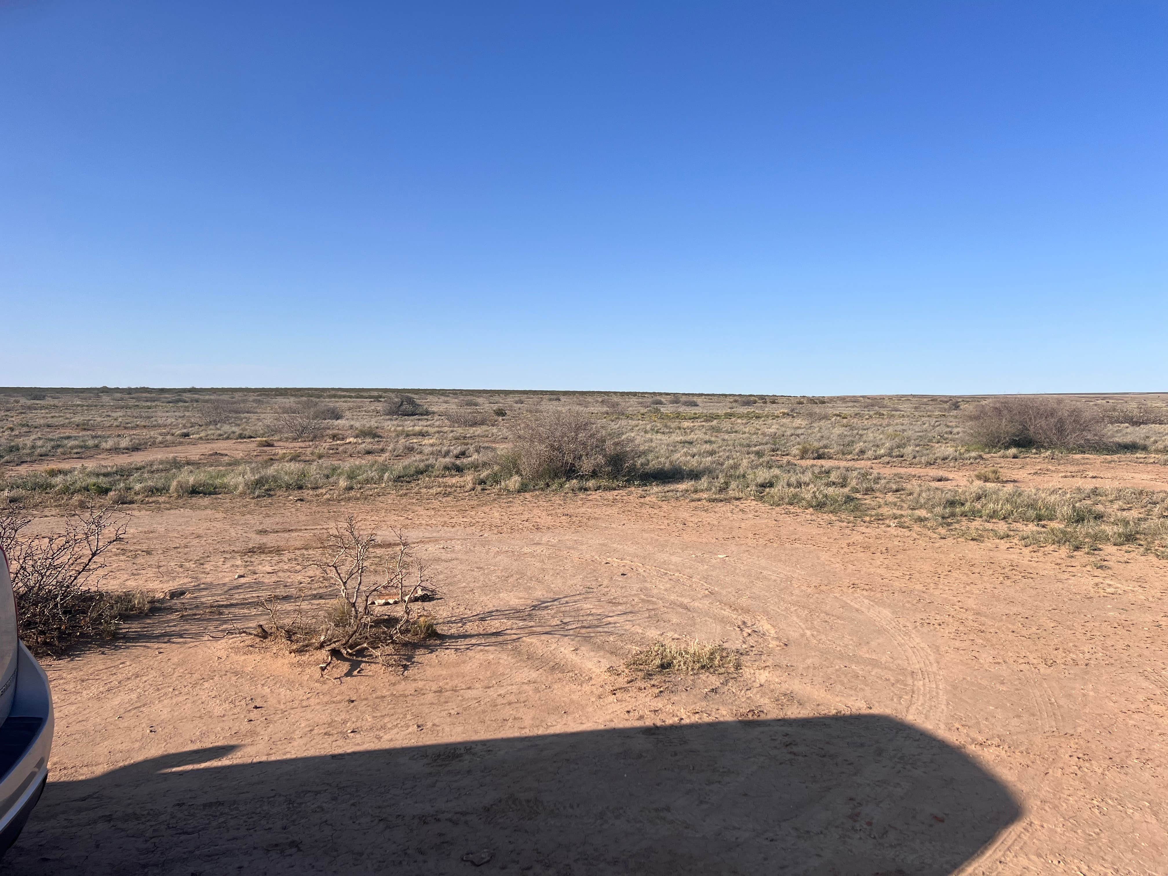 Philip W.'s photo of a dispersed camping area at Alamo Road Camp near Artesia, NM