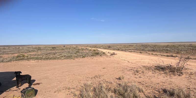 Camper submitted image from Alamo Road Camp