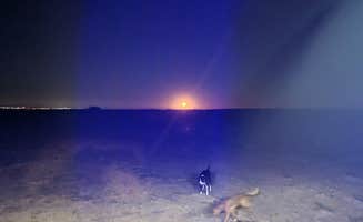 ron R.'s photo of camping with pets at Alamo Road Camp near Artesia, NM