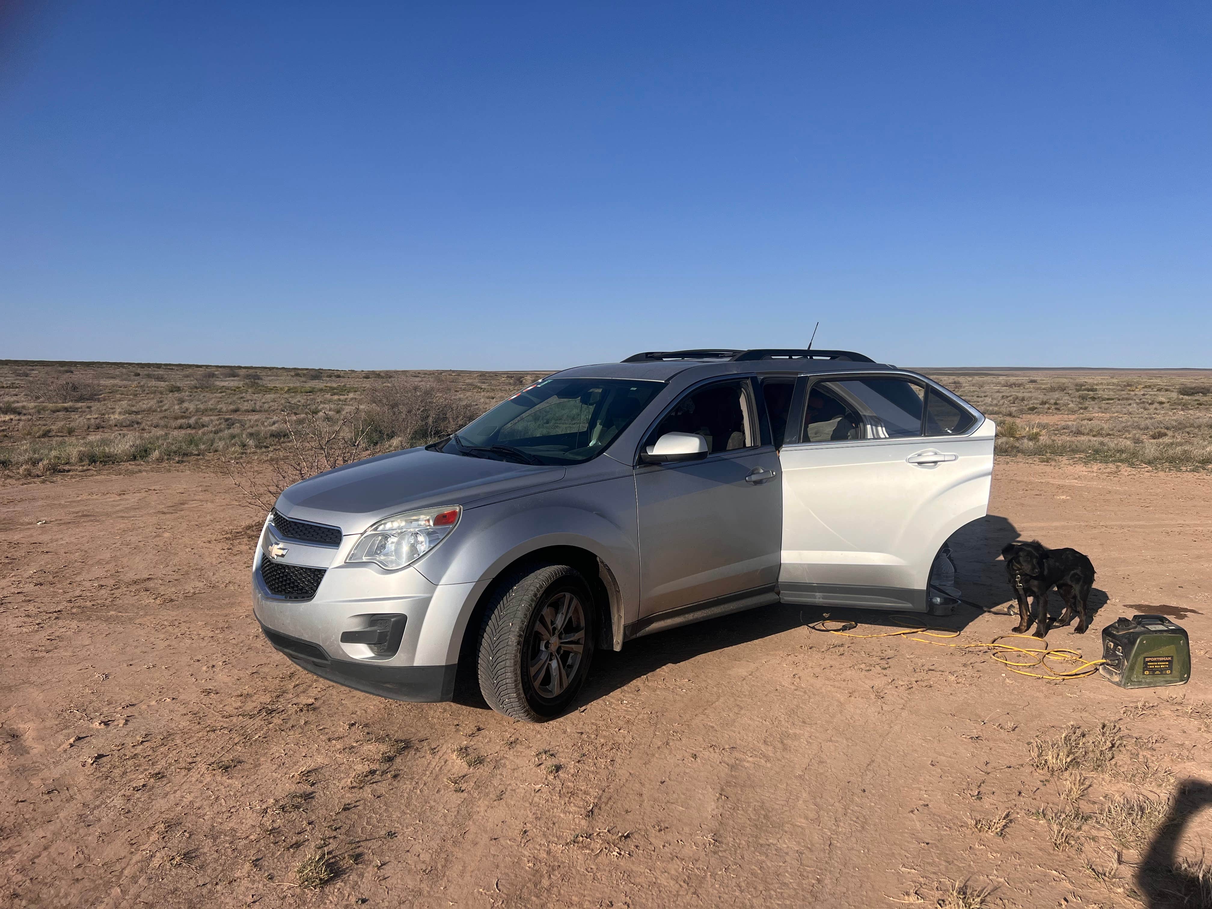 Philip W.'s photo of camping with pets at Alamo Road Camp near Artesia, NM