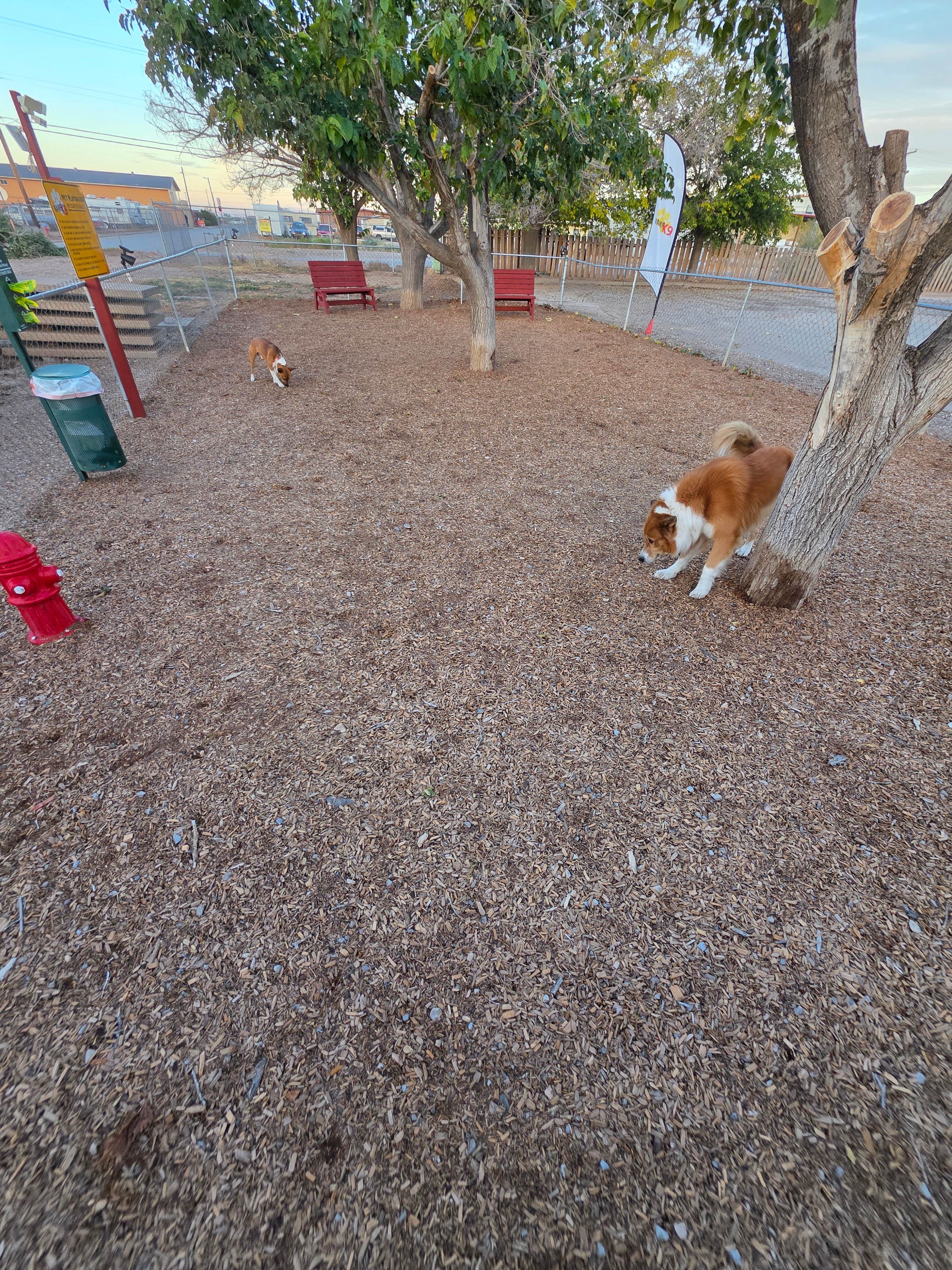 Kevin K.'s photo of camping with pets at Alamogordo / White Sands KOA near Cloudcroft, NM