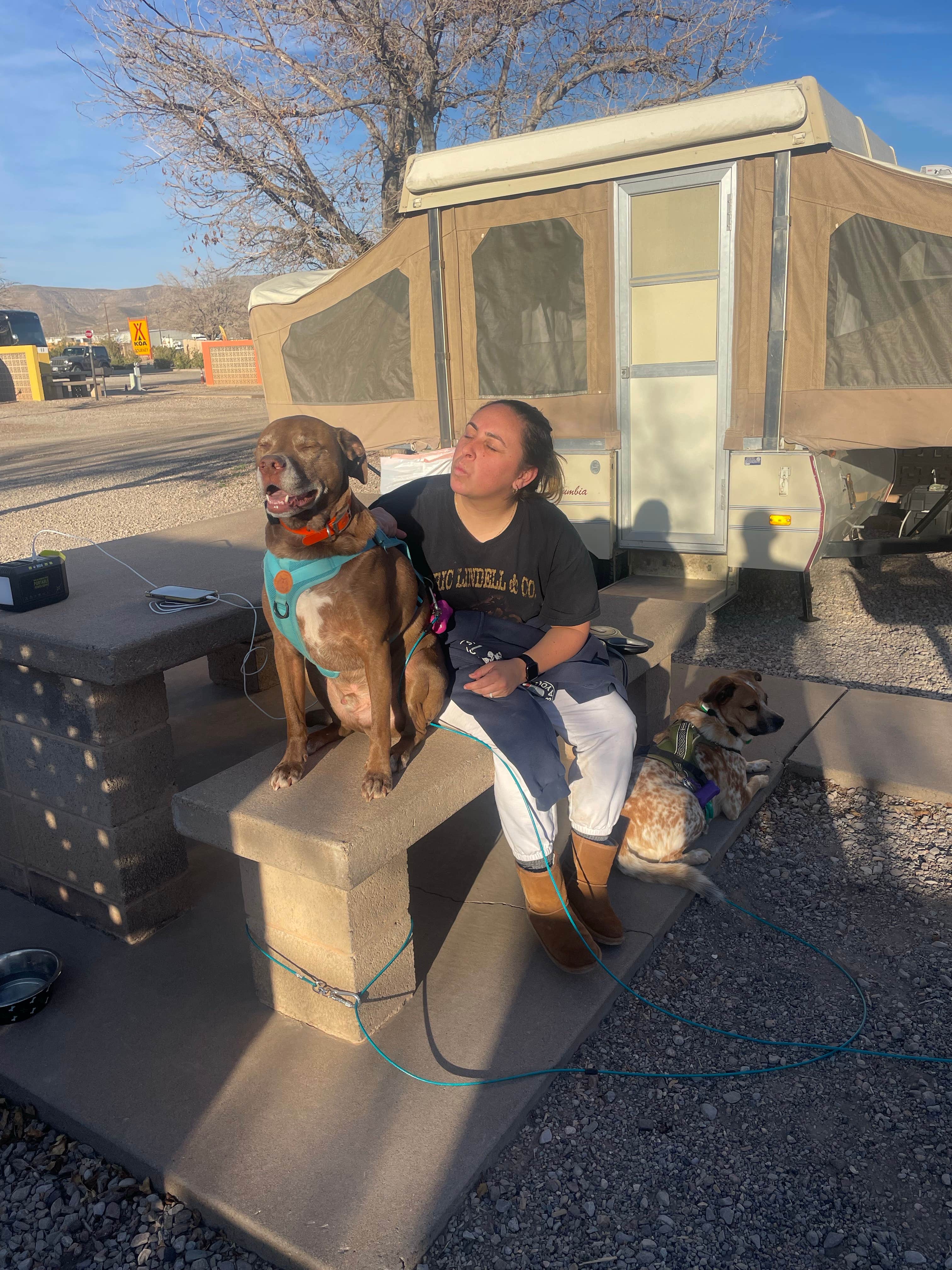 Nicholas's photo of camping with pets at Alamogordo / White Sands KOA near Cloudcroft, NM