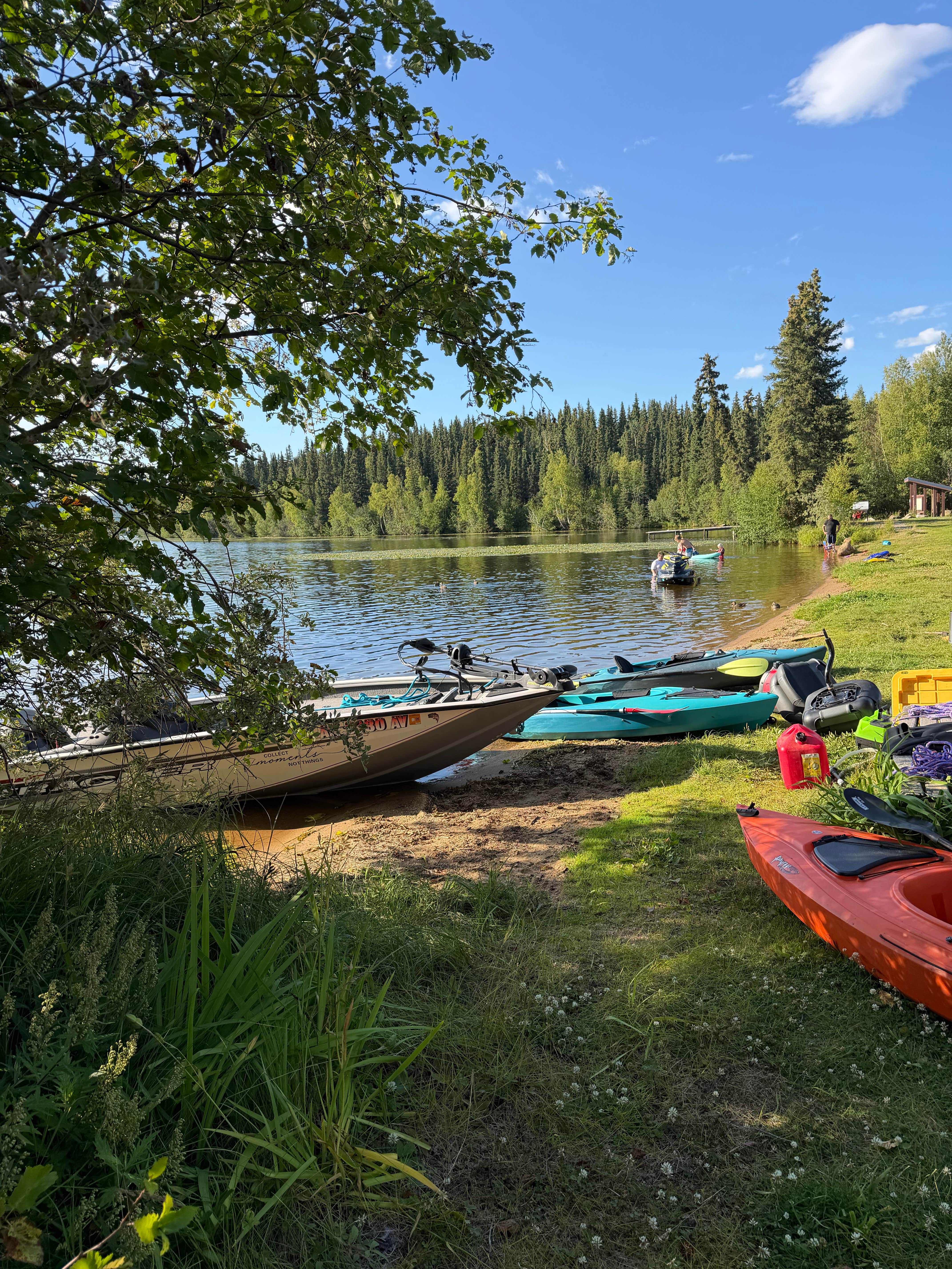 Camping near Cathedral Creeks Bed and Breakfast: Birch Lake State Recreation Site, Salcha, Alaska