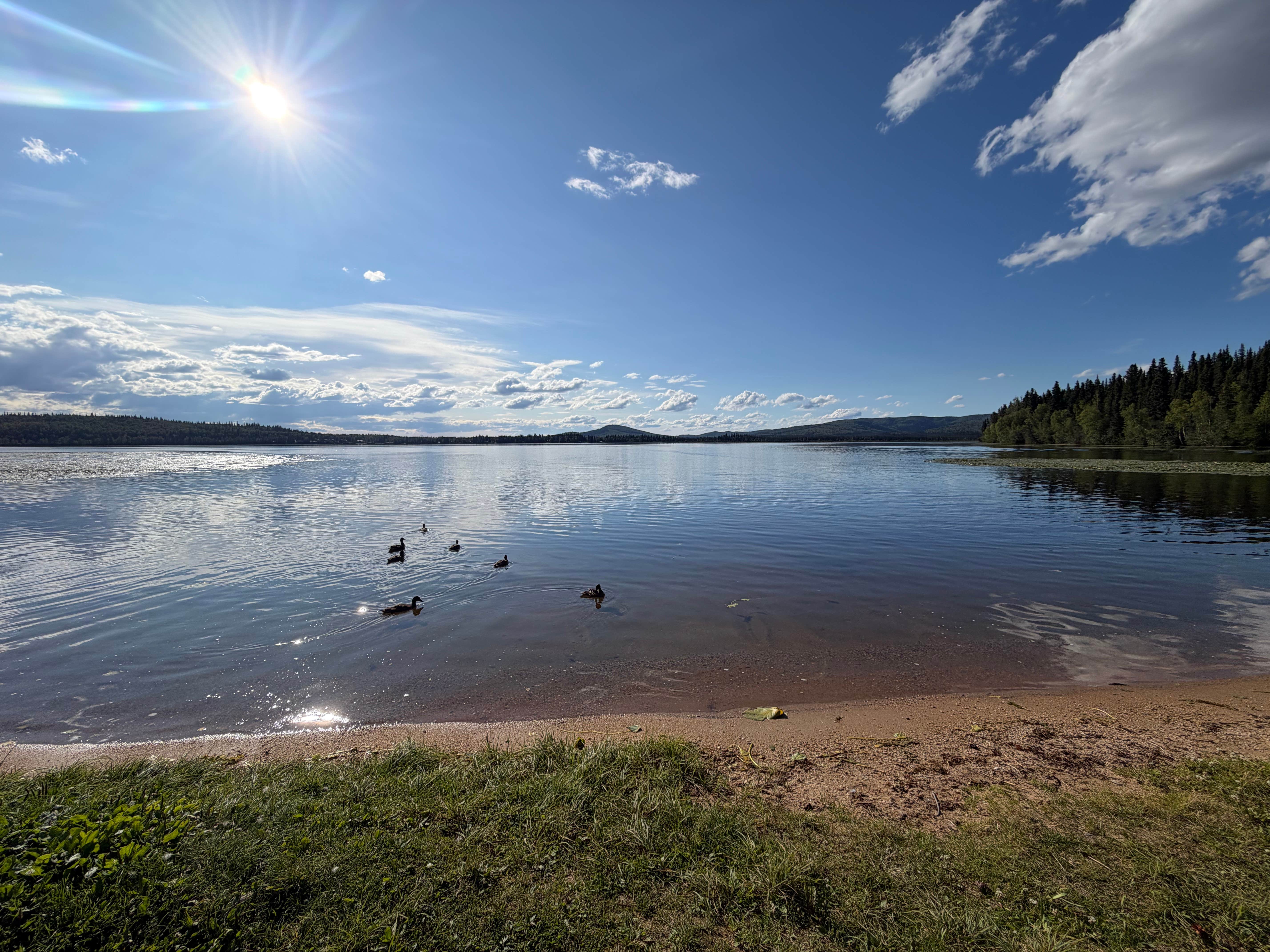 Camper-submitted photo at Birch Lake State Recreation Site near Fort Greely, AK