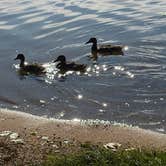 Review photo of Birch Lake State Recreation Site by Connie B., August 7, 2026
